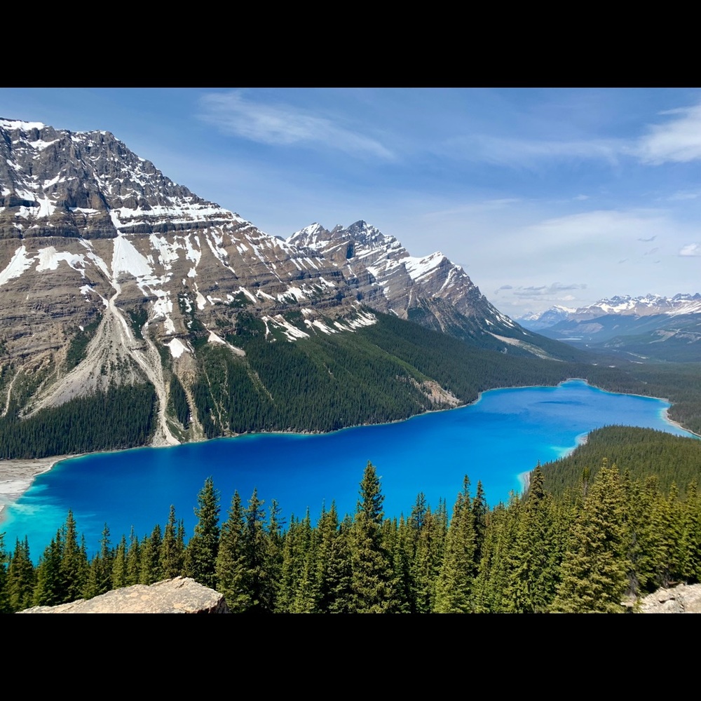 Meet your Posher, Claudia